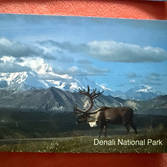 Alaska Postcard Collection - Picture 11 of 16